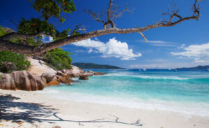 How Beaches Resorts Help Create Fun-Filled Family Vacations