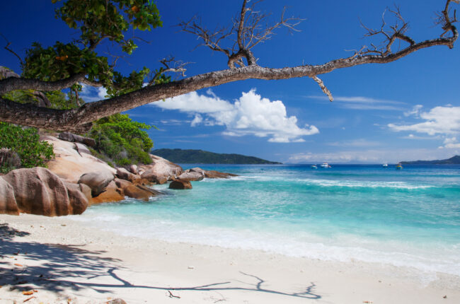 How Beaches Resorts Help Create Fun-Filled Family Vacations