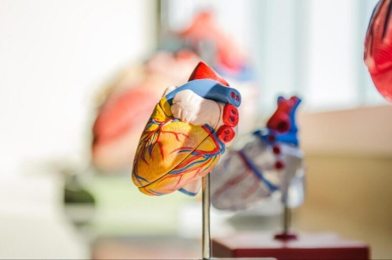 The Future of Vascular Disease Research and Treatment