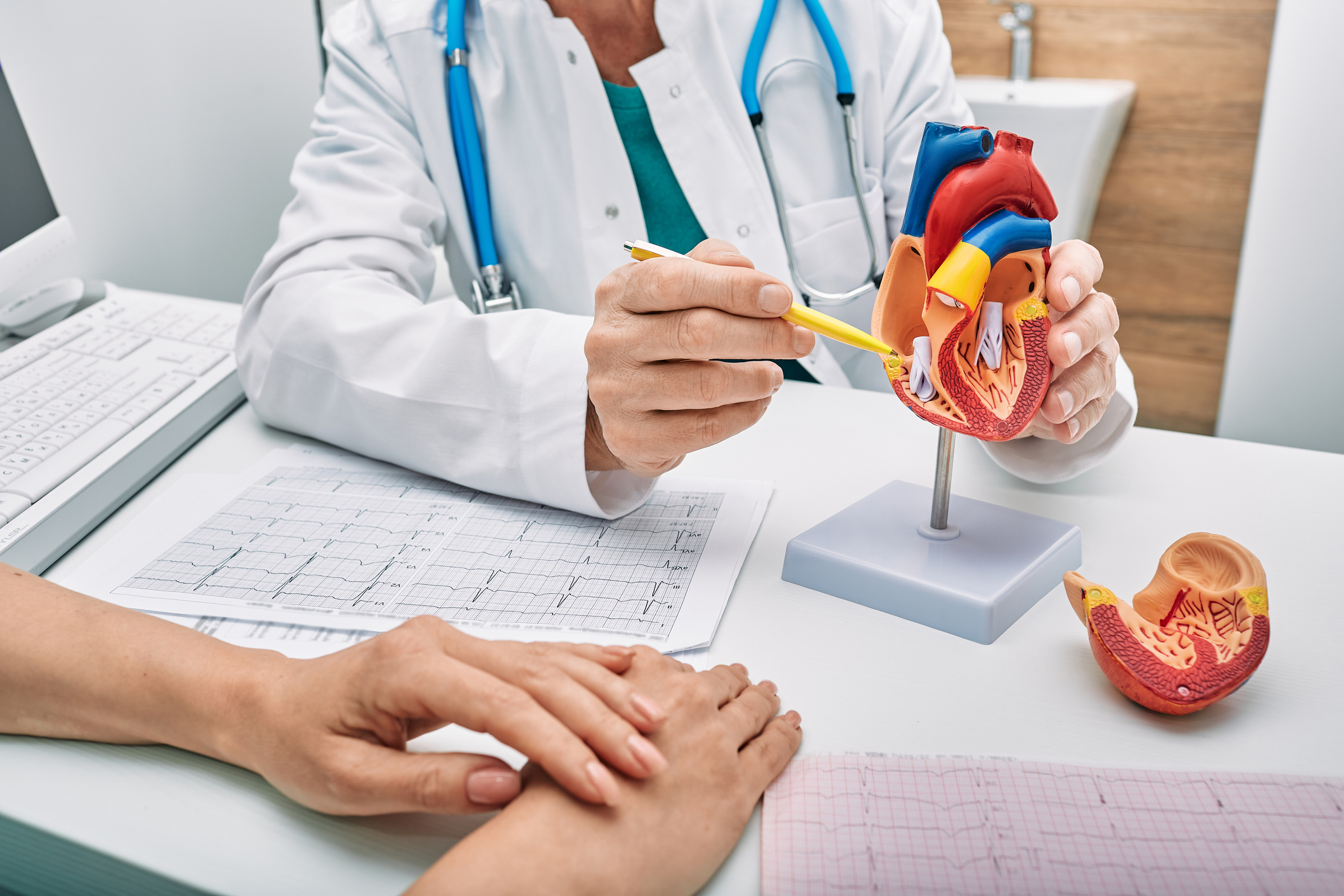 The Role of Cardiologists in Preventing Heart Attacks and Strokes