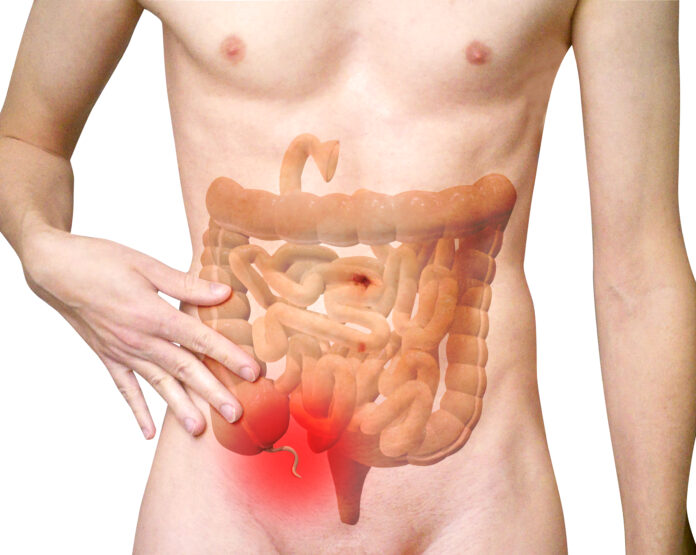 Understanding Digestive Disorders within Gastroenterology